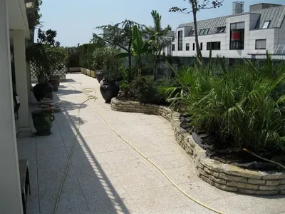 Terrasses accessibles